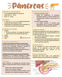 an information poster with the words pancreas in spanish