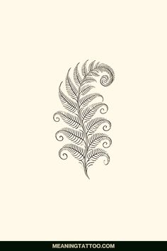 a black and white drawing of a plant with swirls on it's side