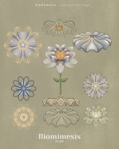 a bunch of flowers that are on top of a book cover with the words bioimmesis floor written below them