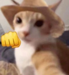 a cat wearing a cowboy hat and pointing at the camera