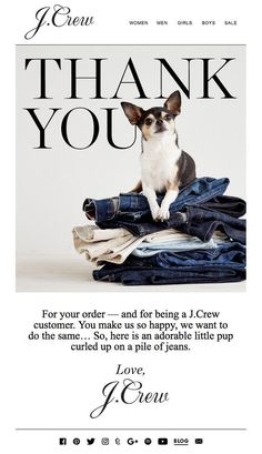 a small dog sitting on top of some folded up jeans with the words thank you