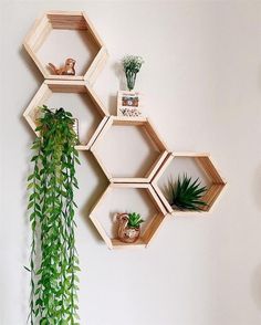 three wooden hexagonal shelves with plants on them against a white wall in the corner