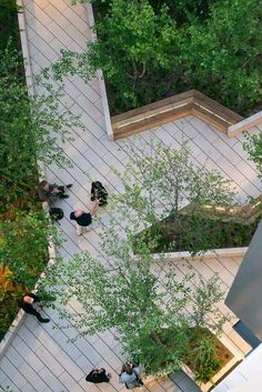 an overhead view of people sitting on benches in a courtyard with trees and bushes surrounding them