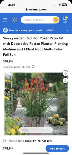 an image of a potted plant with red flowers in it and the text how do you want your item?