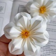 two white paper flowers sitting on top of an open book in someone's hand