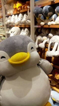 a stuffed penguin sitting on top of a wooden table next to shelves filled with stuffed animals