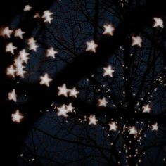 the night sky is lit up with stars and trees are silhouetted against the dark background