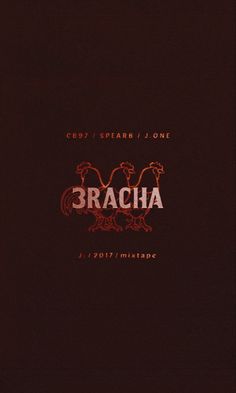 the back cover of bracha