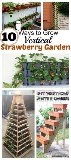 the top ten ways to grow vertical strawberries and strawberrys in an outdoor garden