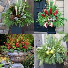 four different christmas planters with evergreens, pine cones and other plants in them