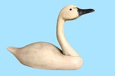 a white duck floating in the air on a blue background