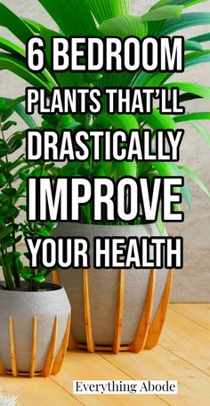 two potted plants with the words 6 bedroom plants that'll dramatically improve your health