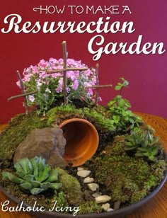 the front cover of a magazine with plants and rocks in it, on a wooden table