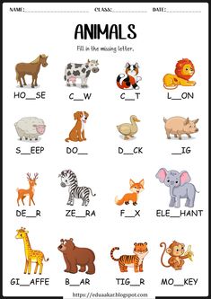 an animal worksheet for kids to learn how to read and write the animals