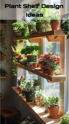 Maximize natural light for your plants by installing shelves directly in front of a window. These shelves can be floating or supported by brackets. Diy Window Shelves, Plant Shelves For Windows, Shelves In Front Of Kitchen Window, Branch Shelves, Shelf Design Ideas, Window Shelves For Plants, Window Shelf For Plants