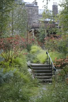 a set of stairs leading up to a building in the woods with tall grass and flowers