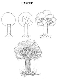 four different types of trees are shown in this drawing lesson, which shows how to draw the