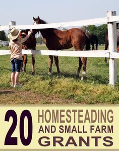 a person standing next to a horse in a field with the words, 20 homesteading and small farm grants