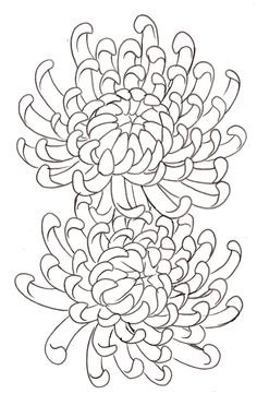 a drawing of a bunch of flowers on a white background