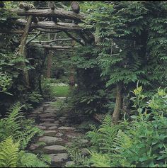 a stone path in the middle of a forest