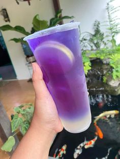 a hand holding a purple drink in front of a fish pond