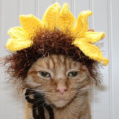 an orange cat wearing a crocheted hat with flowers on it's head