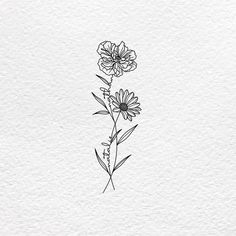 some flowers that are drawn on paper