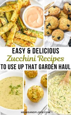 easy and delicious zucchini recipes to use up that garden haul