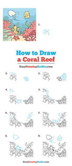 how to draw a coral reef with easy drawing guides for kids and beginner children