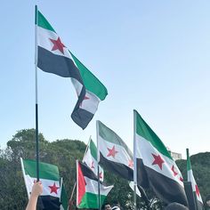 several people holding flags in the air with trees in the background