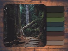 a wooden table topped with a mouse pad covered in lots of different colored swatches