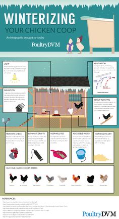 an info sheet describing the different types of birds and how they can be used to cook