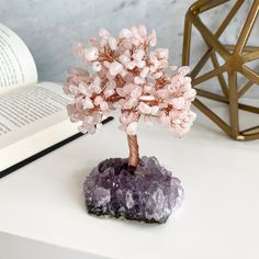 a small tree on top of a rock next to an open book and some rocks