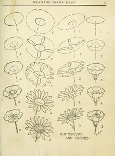 an old book with flowers drawn on the pages and numbers in each section, including one flower