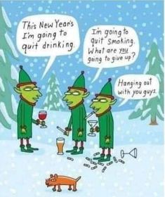 Christmas Funnies, New Year Quotes Funny Hilarious, Funny Holidays, Fun Puns, Winter Humor, Holiday Jokes, New Year Cartoon