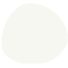 a white egg is shown on a white background