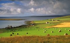 a green field with lots of hay bales in the foreground and water in the background