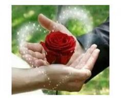 two hands holding a red rose with water droplets coming out of the petals and sprinkles