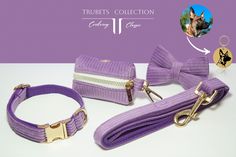 a purple dog leash with matching collar and bow tie on the front, along with an id tag that says trubets collection