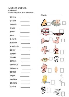 a worksheet with different types of teeth