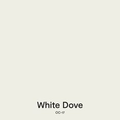 the white dove is standing in front of a light gray wall with black lettering on it