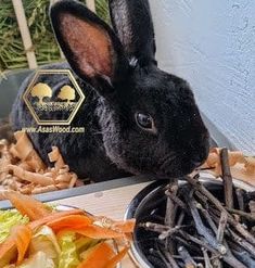 a black rabbit sitting next to a pile of carrots and lettuce on a table