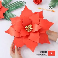 someone is making a paper poinsettia with red flowers and pineconi