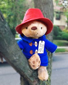 a teddy bear wearing a blue jacket and red hat sitting on a tree branch in front of a house