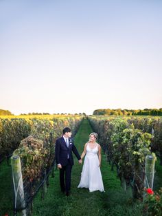 a bride and groom holding hands in the middle of a field with rows of vines