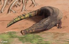 an artist's rendering of a crocodile in the water