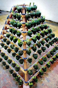 an upside down planter filled with green plants