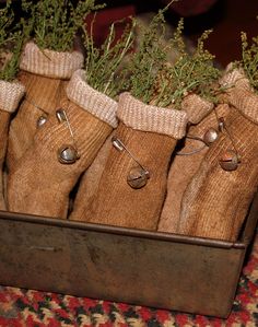 several pairs of brown socks with pins in them