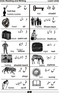 two different types of english and arabic words with pictures on the bottom, one has an animal