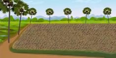 an image of a dirt field with trees in the background